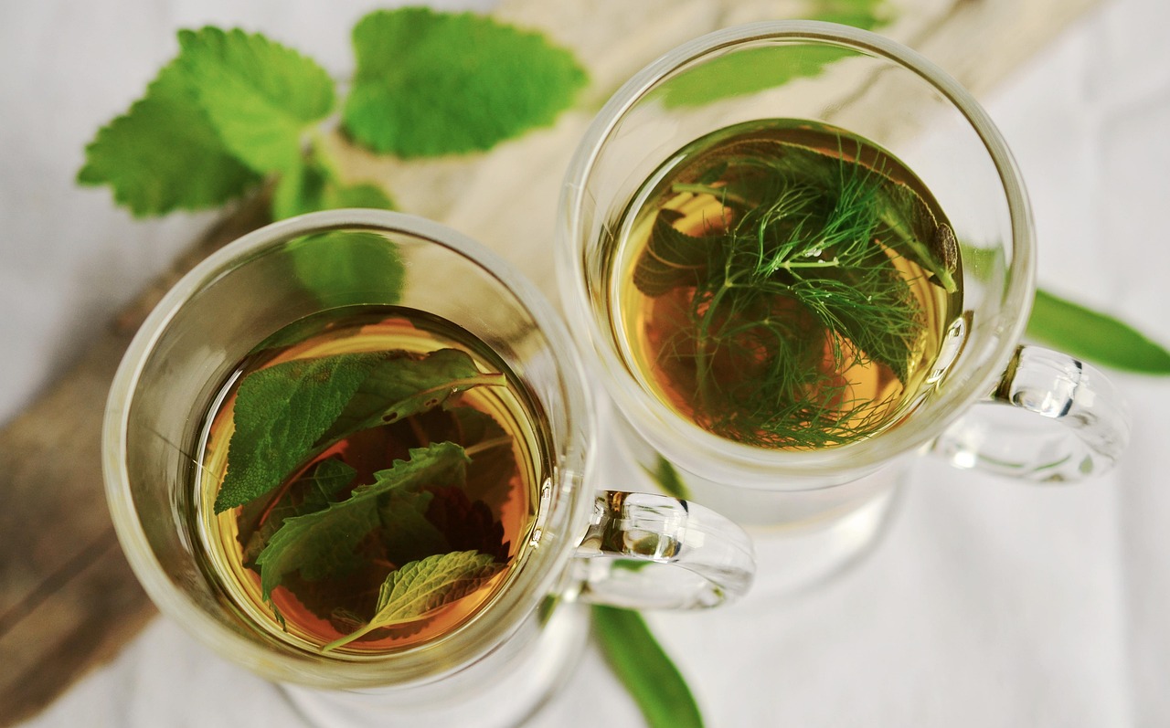 The Healing Power of Nature: Understanding Naturopathy