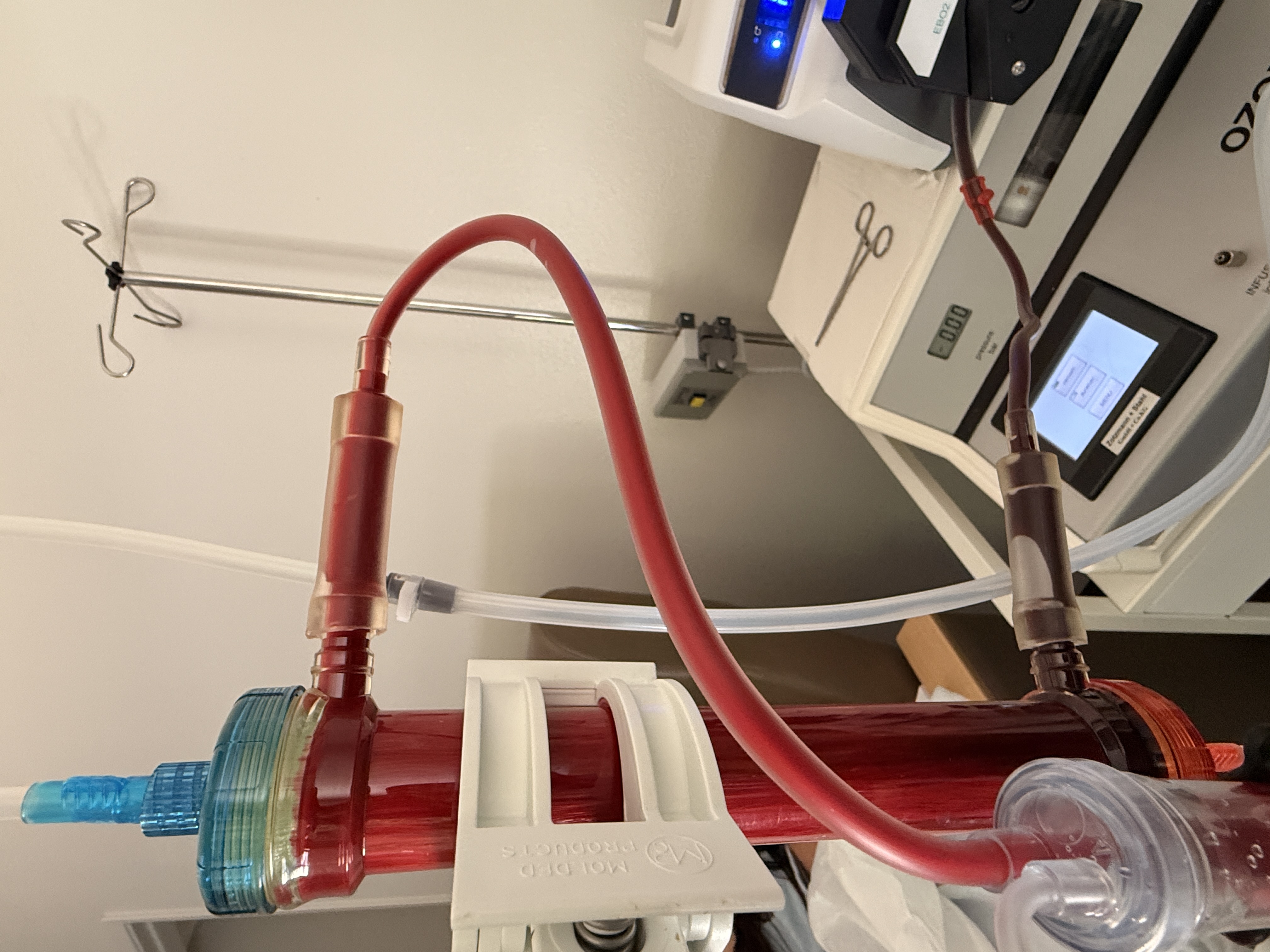 Does EBO2 Ozone Therapy Work? A Naturopathic Doctor's Honest Take